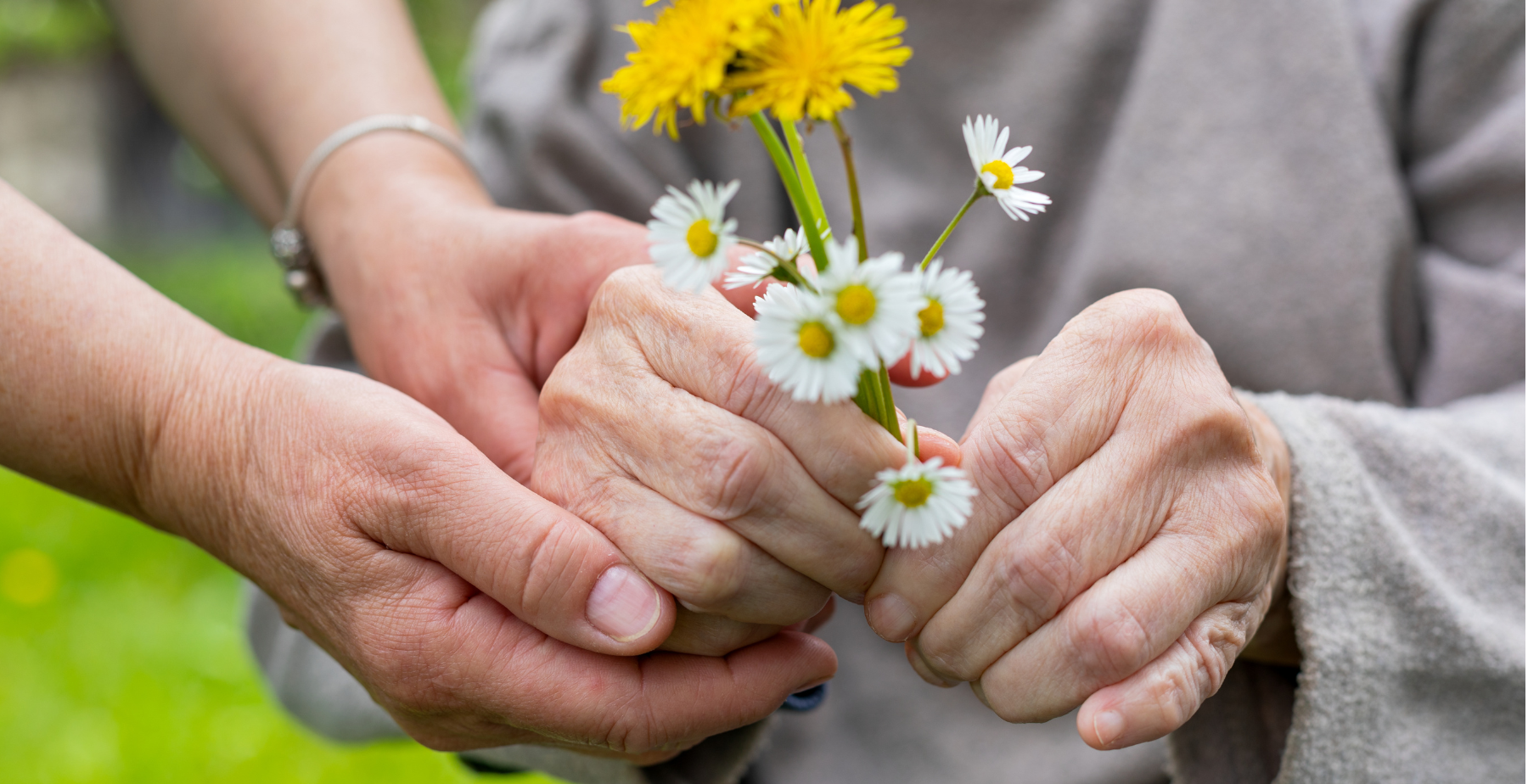 Image of a caregiver handing wildflowers to an elderly person. This represents guardianship in NC.
